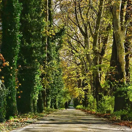 Villa Theopetra